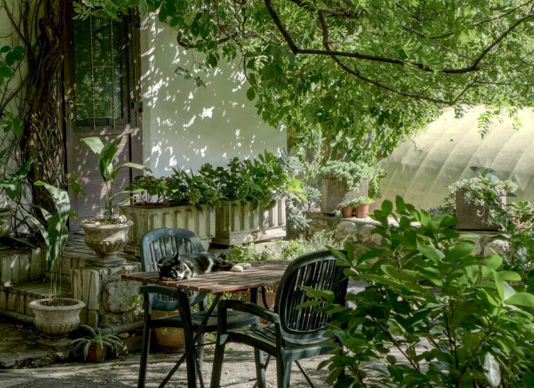 découvrez tout sur les jardins avec notre sélection de produits et conseils pour aménager et entretenir votre garden. profitez de nos astuces pour créer un espace verdoyant et harmonieux.