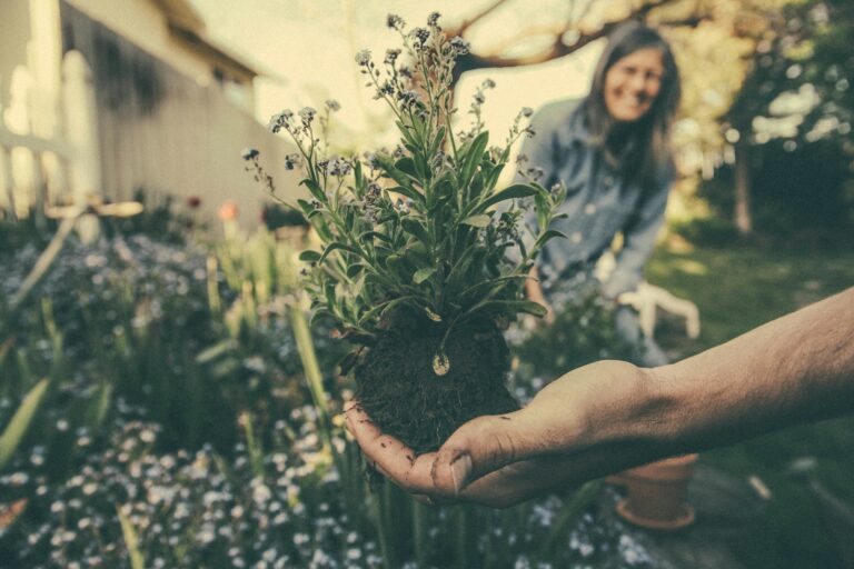 découvrez tous nos conseils et astuces pour un jardinage facile et réussi avec notre sélection d'outils, de plantes et de techniques de jardinage.