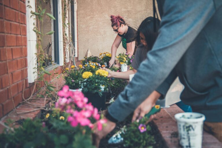 découvrez tout ce qu'il faut savoir sur le gardening, des conseils pratiques aux idées de jardinage, pour une passion verte épanouie.