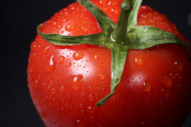 découvrez comment tailler les tomates pour favoriser leur croissance et améliorer votre récolte avec nos conseils de taille des tomates.
