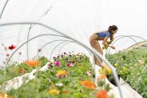 découvrez les services de jardinage de qualité pour votre jardin avec gardeners. des experts passionnés pour sublimer votre espace vert.