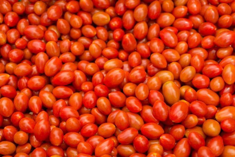 découvrez tout sur les tomates : origines, variétés, recettes et bienfaits, grâce à notre guide complet sur les tomates.