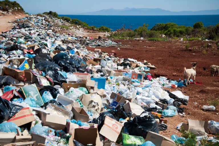 découvrez tout ce qu'il y a à savoir sur le sujet du gaspillage avec notre article sur waste.