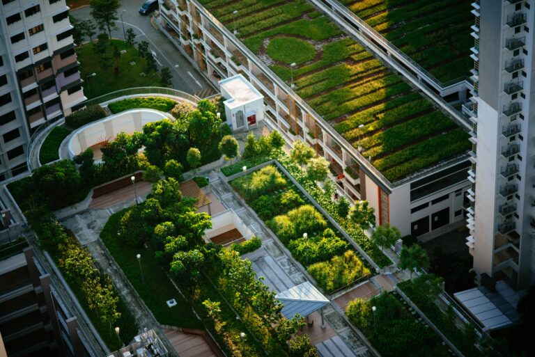 découvrez tous nos conseils et astuces pour pratiquer le jardinage urbain : cultivez vos propres fruits, légumes et plantes en ville et profitez d'un espace vert dans un environnement urbain.